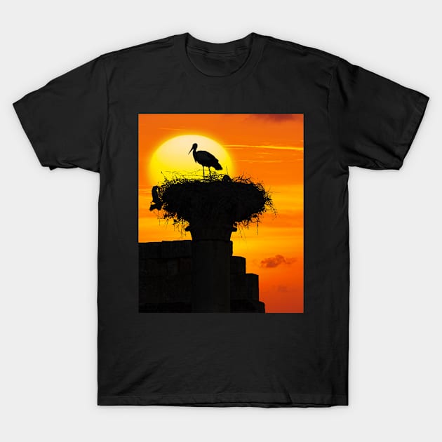 Volubilis Stork. T-Shirt by bulljup